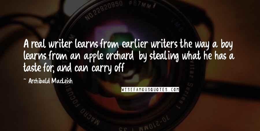 Archibald MacLeish Quotes: A real writer learns from earlier writers the way a boy learns from an apple orchard  by stealing what he has a taste for, and can carry off