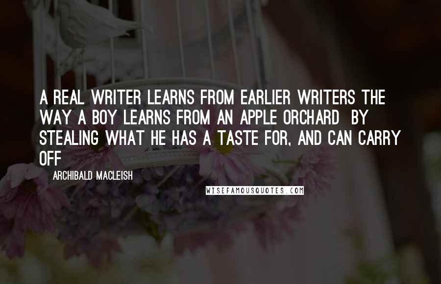 Archibald MacLeish Quotes: A real writer learns from earlier writers the way a boy learns from an apple orchard  by stealing what he has a taste for, and can carry off