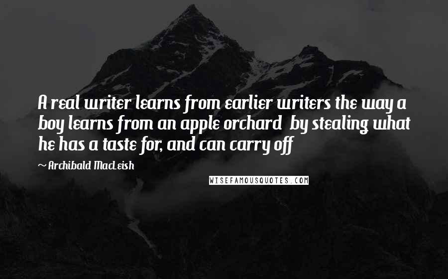 Archibald MacLeish Quotes: A real writer learns from earlier writers the way a boy learns from an apple orchard  by stealing what he has a taste for, and can carry off