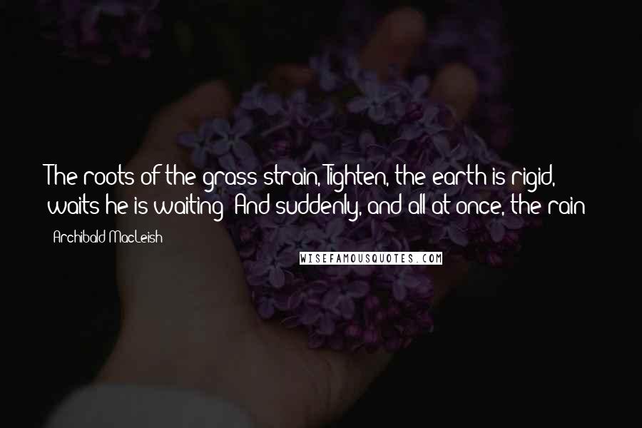 Archibald MacLeish Quotes: The roots of the grass strain, Tighten, the earth is rigid, waits-he is waiting- And suddenly, and all at once, the rain!