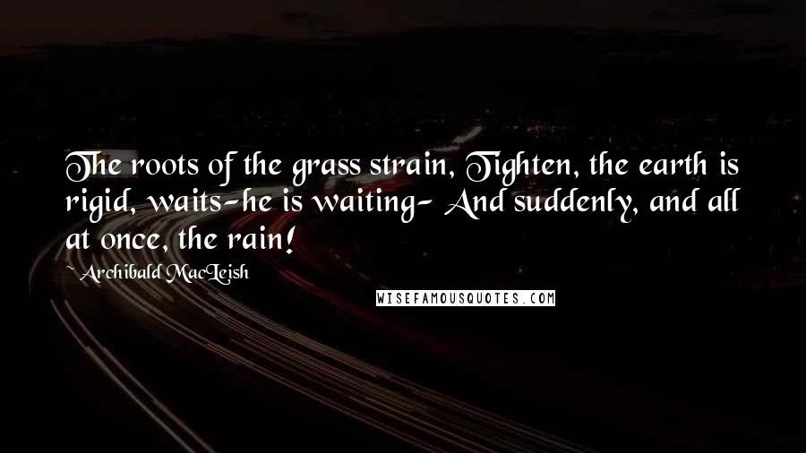 Archibald MacLeish Quotes: The roots of the grass strain, Tighten, the earth is rigid, waits-he is waiting- And suddenly, and all at once, the rain!