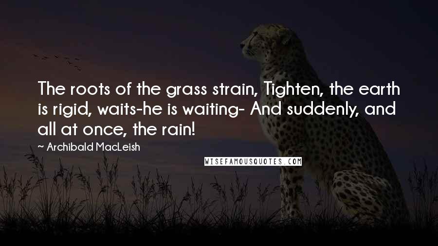 Archibald MacLeish Quotes: The roots of the grass strain, Tighten, the earth is rigid, waits-he is waiting- And suddenly, and all at once, the rain!