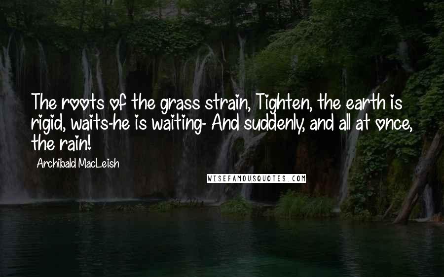 Archibald MacLeish Quotes: The roots of the grass strain, Tighten, the earth is rigid, waits-he is waiting- And suddenly, and all at once, the rain!