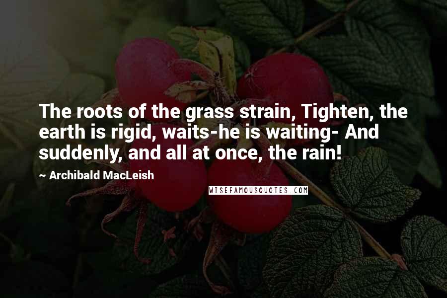 Archibald MacLeish Quotes: The roots of the grass strain, Tighten, the earth is rigid, waits-he is waiting- And suddenly, and all at once, the rain!