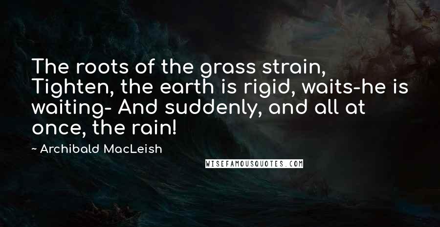 Archibald MacLeish Quotes: The roots of the grass strain, Tighten, the earth is rigid, waits-he is waiting- And suddenly, and all at once, the rain!