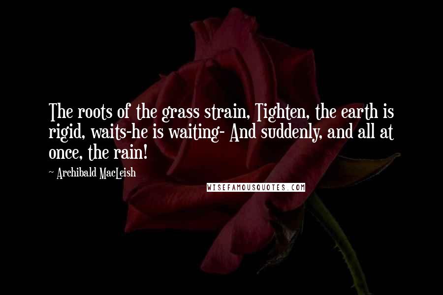 Archibald MacLeish Quotes: The roots of the grass strain, Tighten, the earth is rigid, waits-he is waiting- And suddenly, and all at once, the rain!