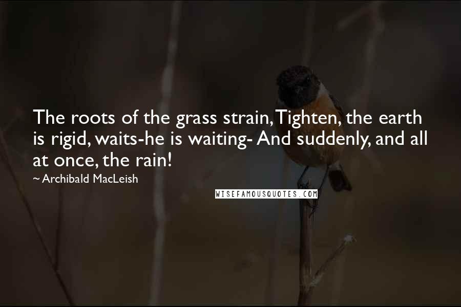 Archibald MacLeish Quotes: The roots of the grass strain, Tighten, the earth is rigid, waits-he is waiting- And suddenly, and all at once, the rain!