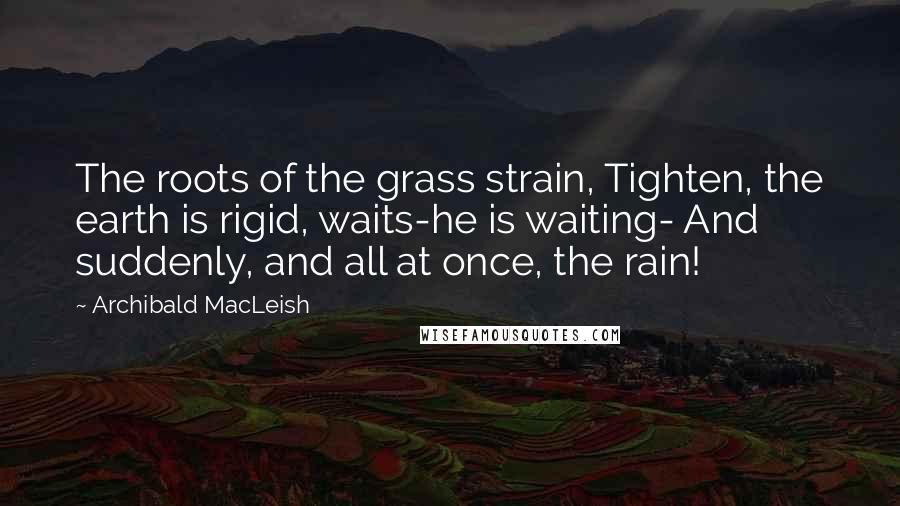 Archibald MacLeish Quotes: The roots of the grass strain, Tighten, the earth is rigid, waits-he is waiting- And suddenly, and all at once, the rain!