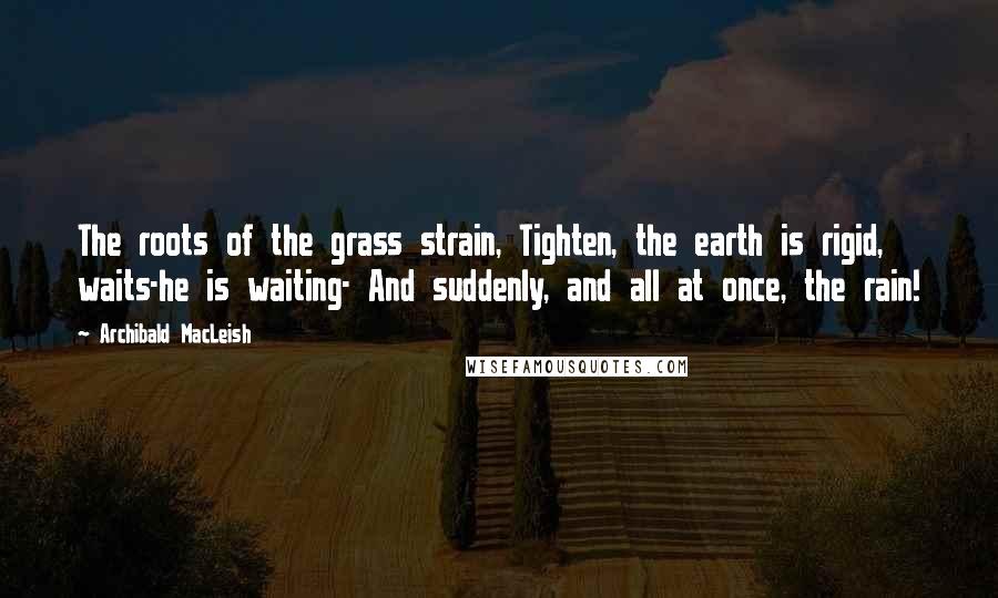 Archibald MacLeish Quotes: The roots of the grass strain, Tighten, the earth is rigid, waits-he is waiting- And suddenly, and all at once, the rain!