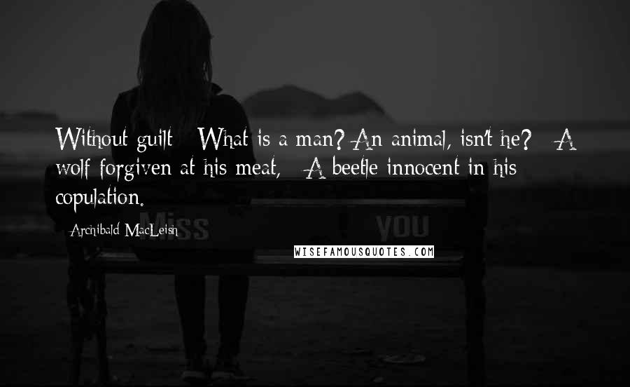 Archibald MacLeish Quotes: Without guilt / What is a man? An animal, isn't he? / A wolf forgiven at his meat, / A beetle innocent in his copulation.