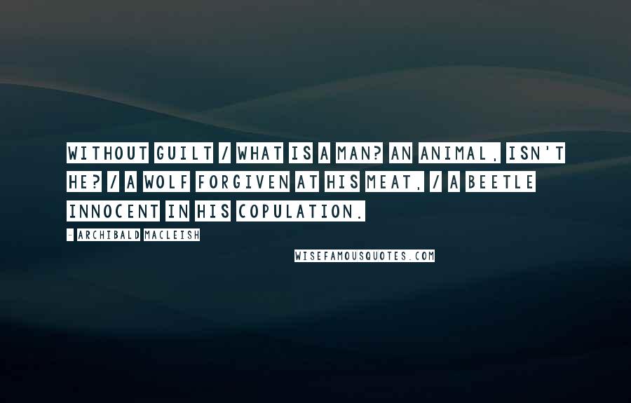 Archibald MacLeish Quotes: Without guilt / What is a man? An animal, isn't he? / A wolf forgiven at his meat, / A beetle innocent in his copulation.