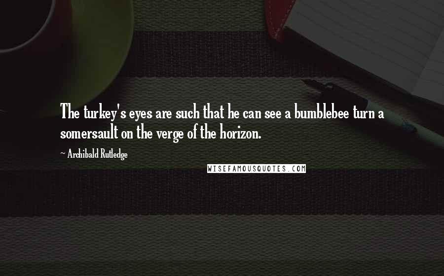 Archibald Rutledge Quotes: The turkey's eyes are such that he can see a bumblebee turn a somersault on the verge of the horizon.