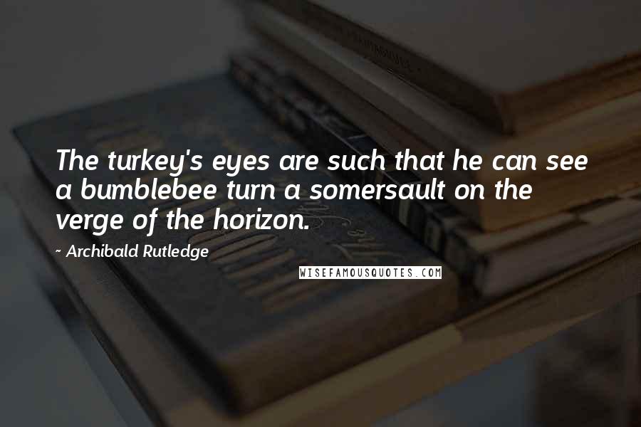 Archibald Rutledge Quotes: The turkey's eyes are such that he can see a bumblebee turn a somersault on the verge of the horizon.