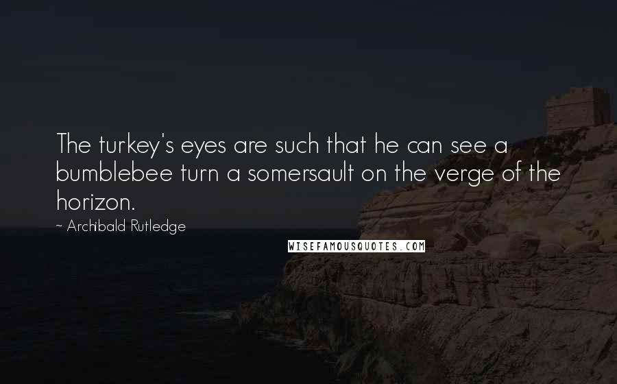 Archibald Rutledge Quotes: The turkey's eyes are such that he can see a bumblebee turn a somersault on the verge of the horizon.