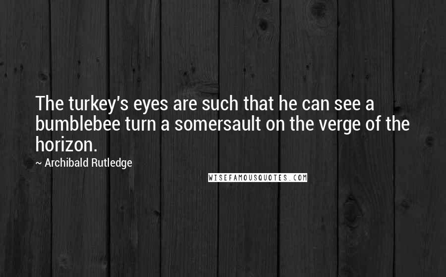 Archibald Rutledge Quotes: The turkey's eyes are such that he can see a bumblebee turn a somersault on the verge of the horizon.