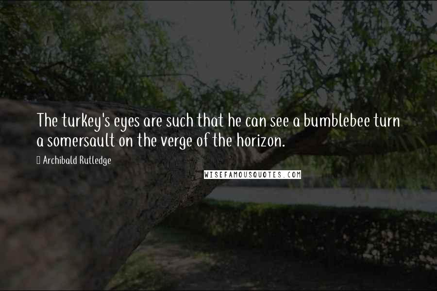 Archibald Rutledge Quotes: The turkey's eyes are such that he can see a bumblebee turn a somersault on the verge of the horizon.