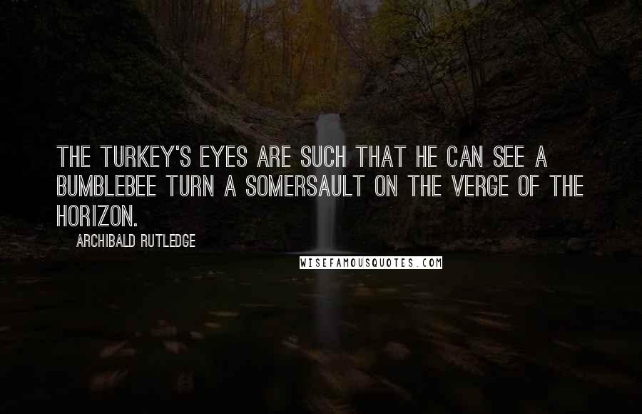 Archibald Rutledge Quotes: The turkey's eyes are such that he can see a bumblebee turn a somersault on the verge of the horizon.