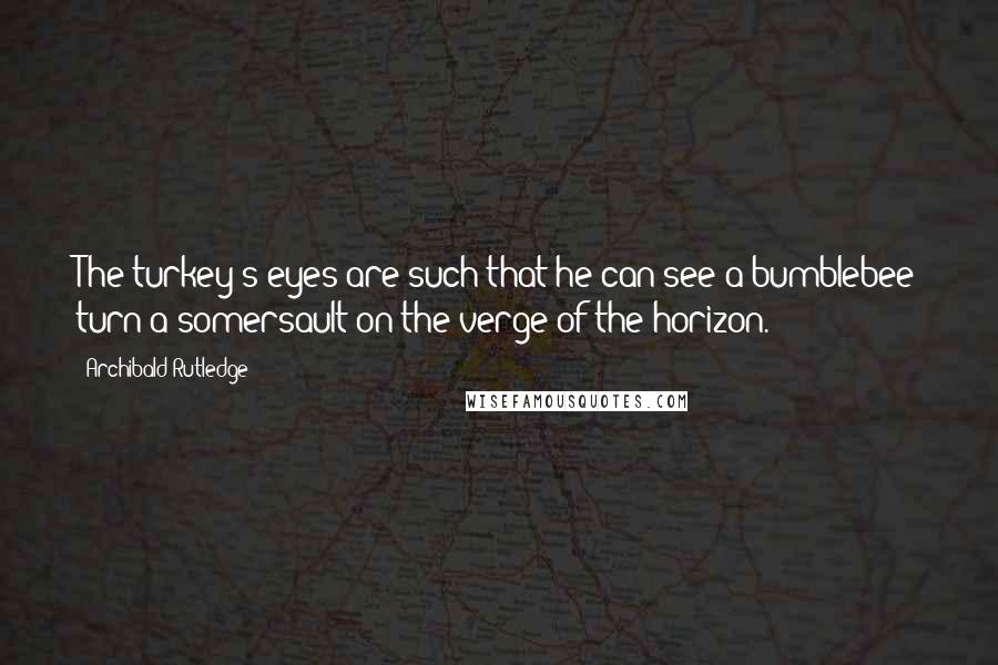 Archibald Rutledge Quotes: The turkey's eyes are such that he can see a bumblebee turn a somersault on the verge of the horizon.