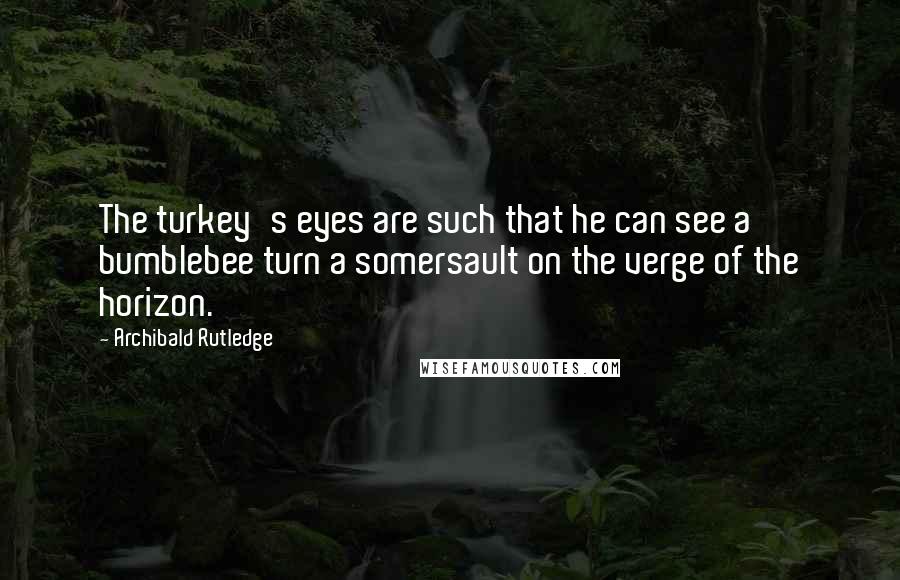 Archibald Rutledge Quotes: The turkey's eyes are such that he can see a bumblebee turn a somersault on the verge of the horizon.