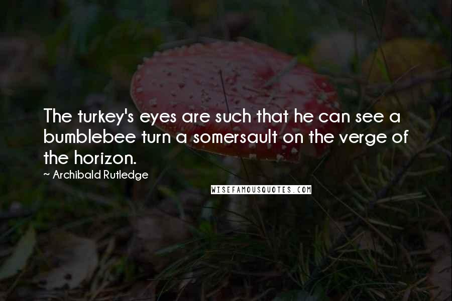 Archibald Rutledge Quotes: The turkey's eyes are such that he can see a bumblebee turn a somersault on the verge of the horizon.