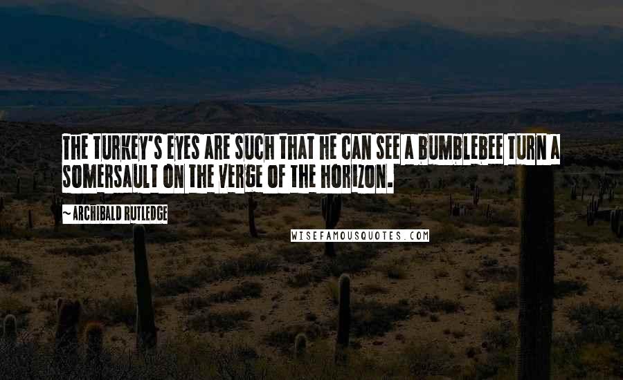 Archibald Rutledge Quotes: The turkey's eyes are such that he can see a bumblebee turn a somersault on the verge of the horizon.