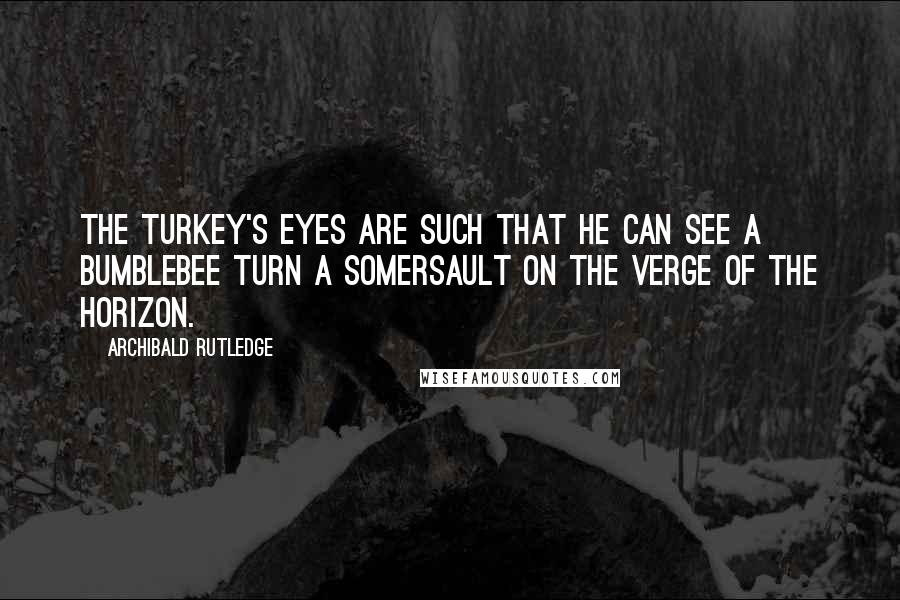 Archibald Rutledge Quotes: The turkey's eyes are such that he can see a bumblebee turn a somersault on the verge of the horizon.