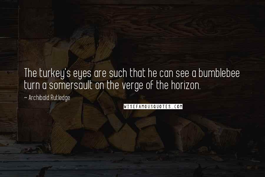 Archibald Rutledge Quotes: The turkey's eyes are such that he can see a bumblebee turn a somersault on the verge of the horizon.