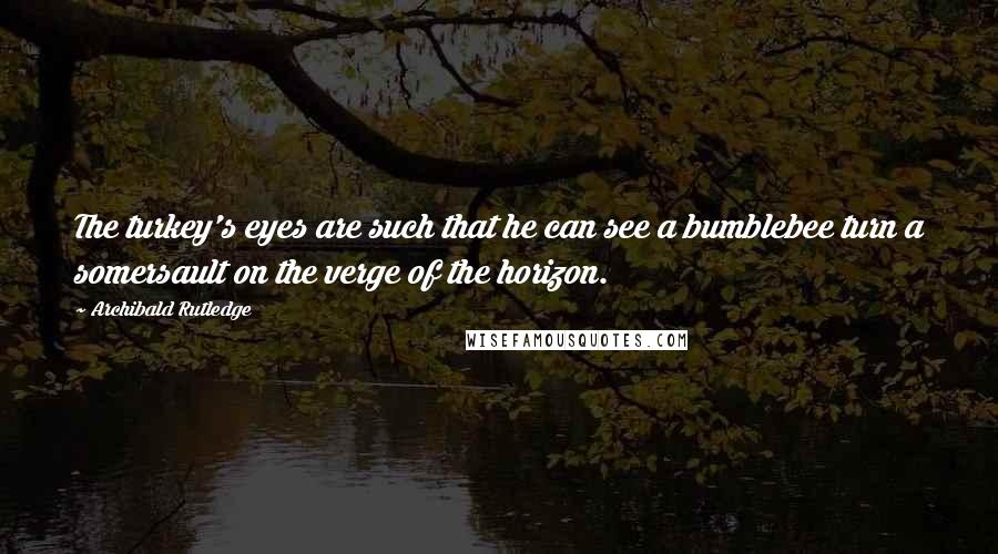 Archibald Rutledge Quotes: The turkey's eyes are such that he can see a bumblebee turn a somersault on the verge of the horizon.