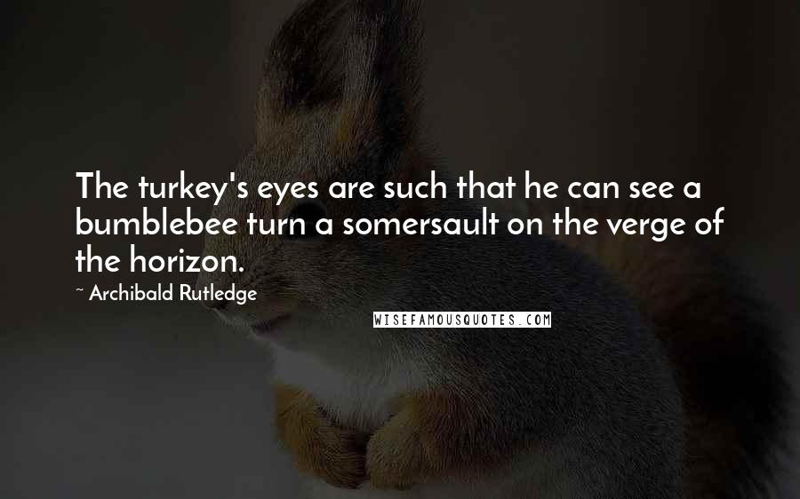 Archibald Rutledge Quotes: The turkey's eyes are such that he can see a bumblebee turn a somersault on the verge of the horizon.