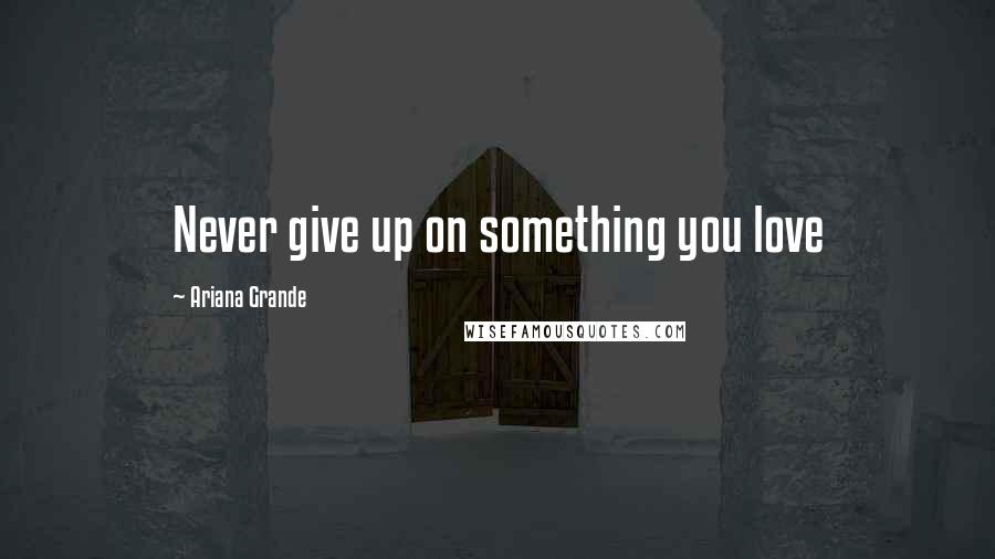 Ariana Grande Quotes: Never give up on something you love