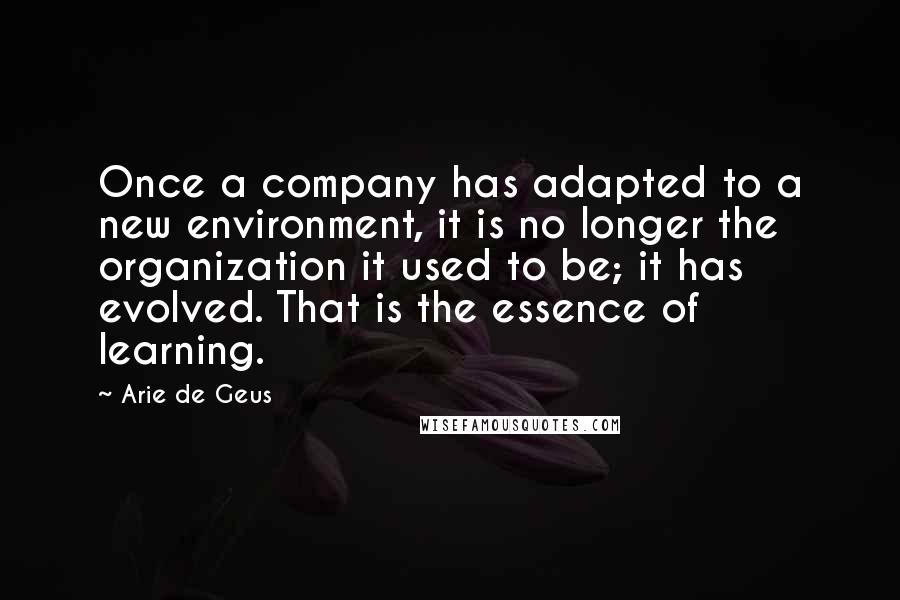 Arie De Geus Quotes: Once a company has adapted to a new environment, it is no longer the organization it used to be; it has evolved. That is the essence of learning.