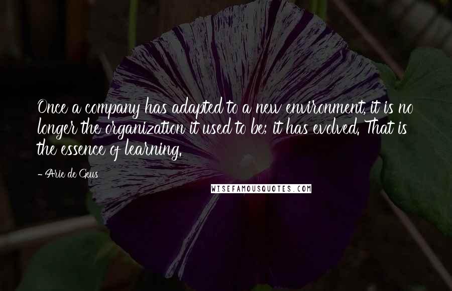 Arie De Geus Quotes: Once a company has adapted to a new environment, it is no longer the organization it used to be; it has evolved. That is the essence of learning.