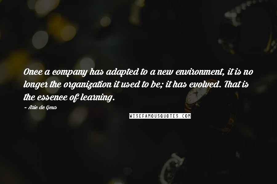Arie De Geus Quotes: Once a company has adapted to a new environment, it is no longer the organization it used to be; it has evolved. That is the essence of learning.