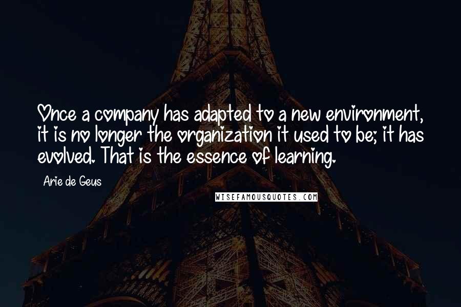 Arie De Geus Quotes: Once a company has adapted to a new environment, it is no longer the organization it used to be; it has evolved. That is the essence of learning.