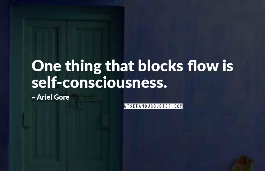 Ariel Gore Quotes: One thing that blocks flow is self-consciousness.