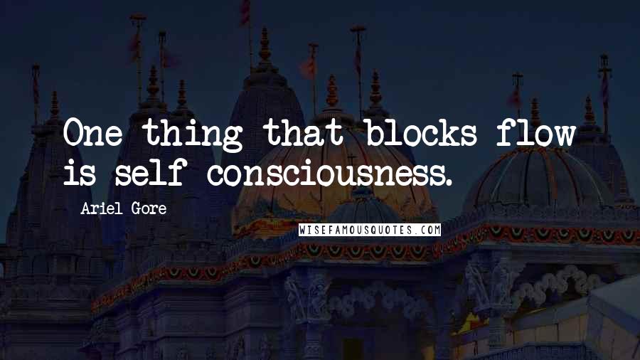 Ariel Gore Quotes: One thing that blocks flow is self-consciousness.