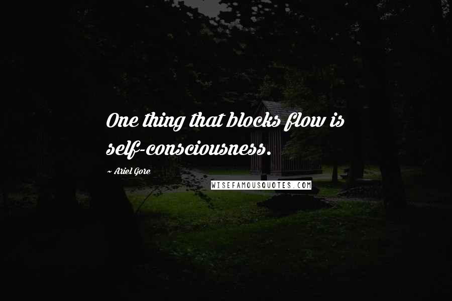 Ariel Gore Quotes: One thing that blocks flow is self-consciousness.