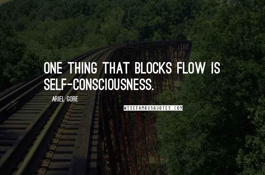 Ariel Gore Quotes: One thing that blocks flow is self-consciousness.