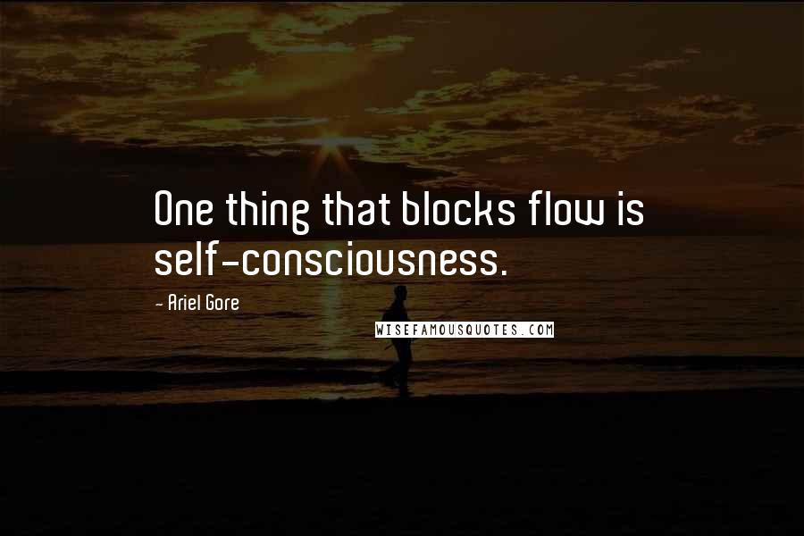 Ariel Gore Quotes: One thing that blocks flow is self-consciousness.