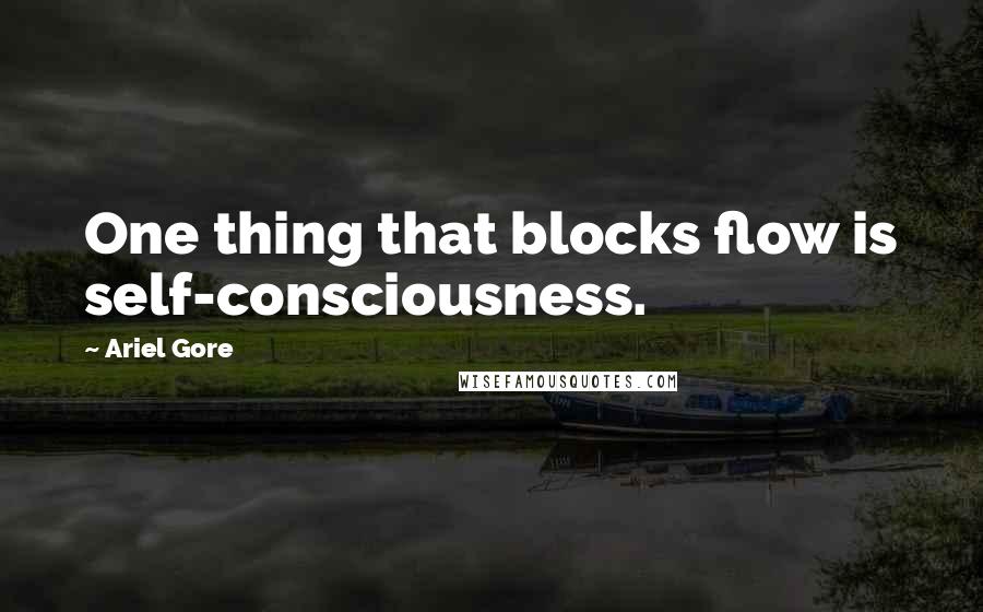 Ariel Gore Quotes: One thing that blocks flow is self-consciousness.