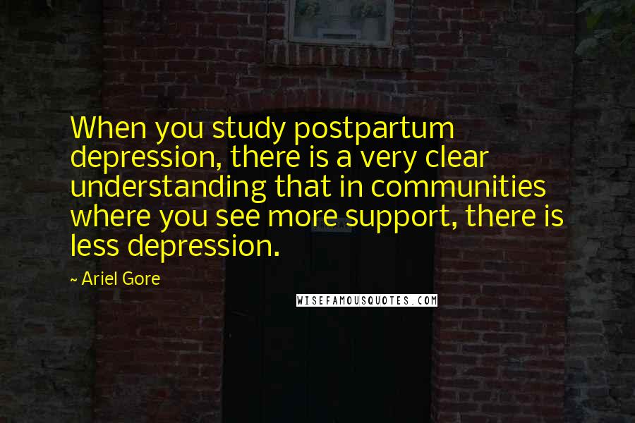 Ariel Gore Quotes: When you study postpartum depression, there is a very clear understanding that in communities where you see more support, there is less depression.