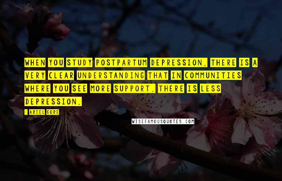 Ariel Gore Quotes: When you study postpartum depression, there is a very clear understanding that in communities where you see more support, there is less depression.