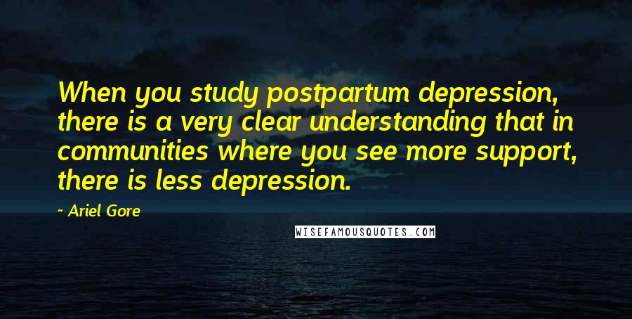 Ariel Gore Quotes: When you study postpartum depression, there is a very clear understanding that in communities where you see more support, there is less depression.