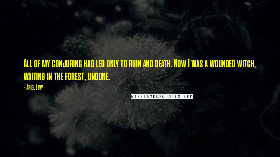 Ariel Levy Quotes: All of my conjuring had led only to ruin and death. Now I was a wounded witch, waiting in the forest, undone.