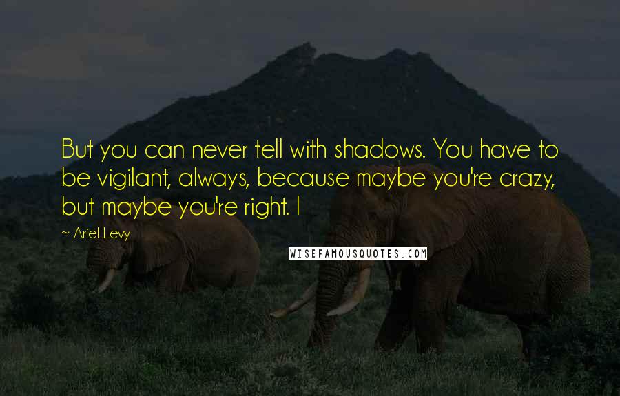 Ariel Levy Quotes: But you can never tell with shadows. You have to be vigilant, always, because maybe you're crazy, but maybe you're right. I