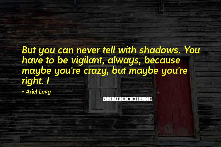 Ariel Levy Quotes: But you can never tell with shadows. You have to be vigilant, always, because maybe you're crazy, but maybe you're right. I