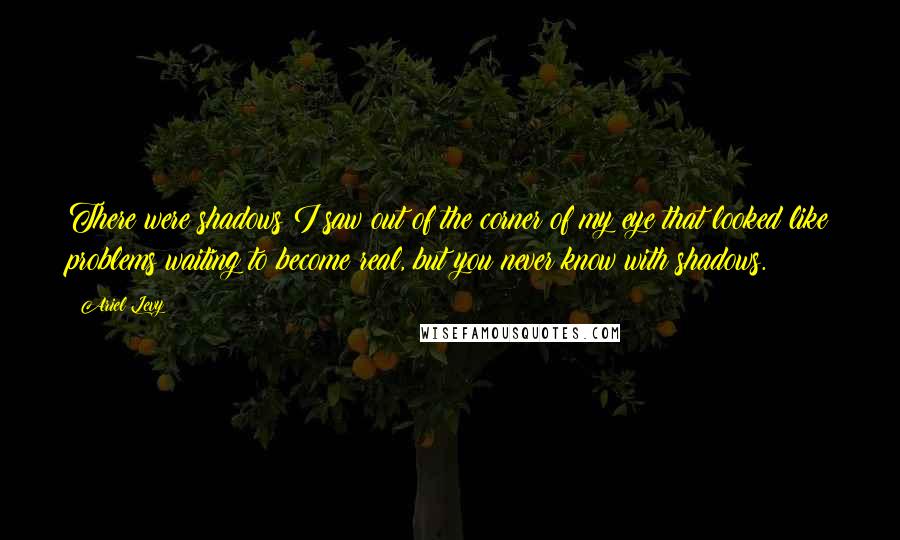 Ariel Levy Quotes: There were shadows I saw out of the corner of my eye that looked like problems waiting to become real, but you never know with shadows.