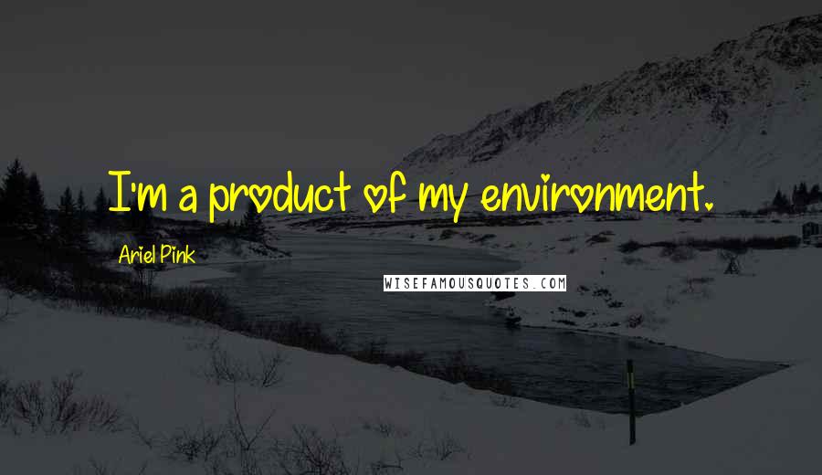 Ariel Pink Quotes: I'm a product of my environment.