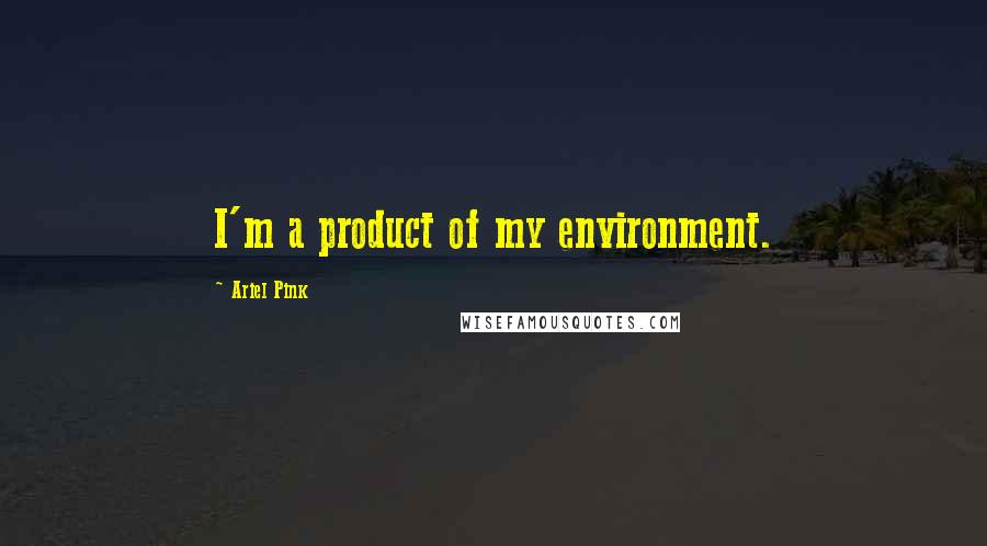 Ariel Pink Quotes: I'm a product of my environment.