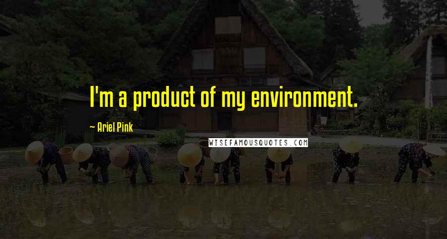 Ariel Pink Quotes: I'm a product of my environment.